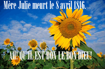 Tournesol